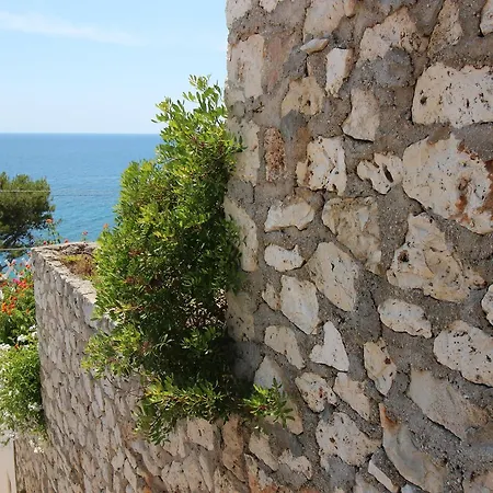 Residenza La Cicala شقة